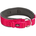PREMIUM obojok extra široký, fuchsia/grafit L-XL: 53-62 cm/50 mm